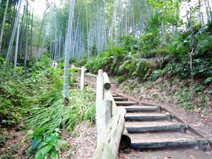 亀形石造物から酒船石へのアクセス道