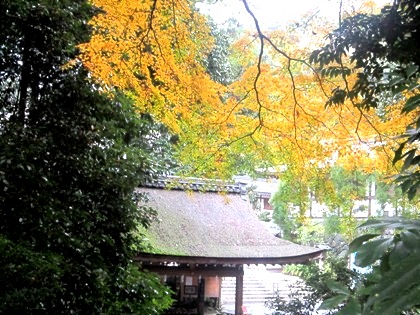 手水舎　大神神社の紅葉