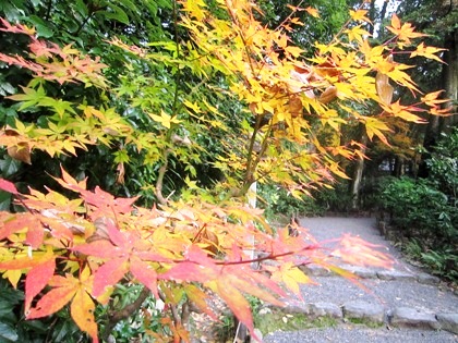 大神神社の紅葉