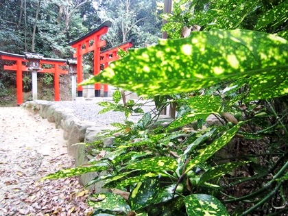 成願稲荷神社