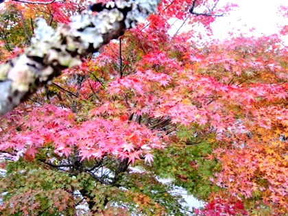 談山神社の紅葉