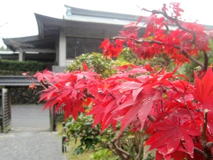 大神神社の紅葉　大礼記念館