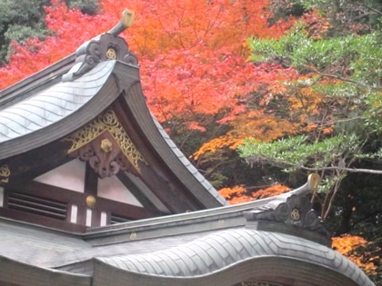 大神神社の紅葉　清明殿