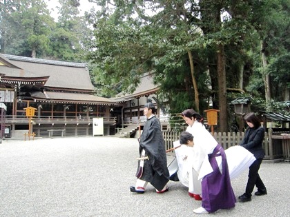 十二単と巳の神杉