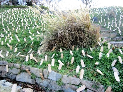 高松塚古墳の下駄