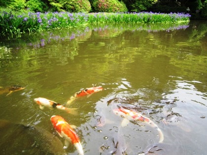 長岳寺の放生池