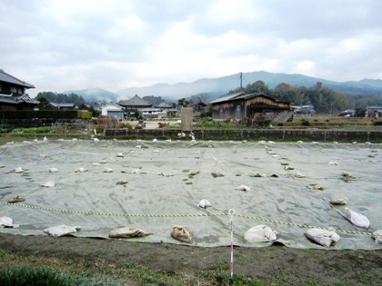 飛鳥寺西方遺跡