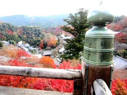 長谷寺本堂の舞台