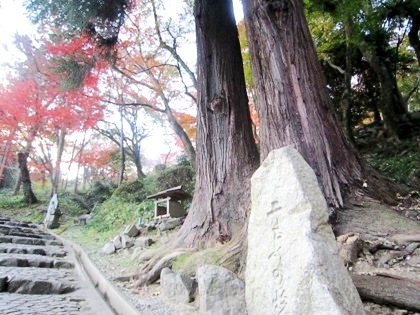 二もとの杉　長谷寺の紅葉