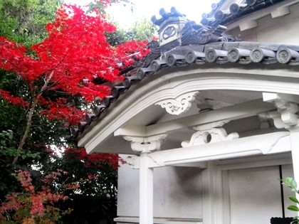 漢国神社の紅葉