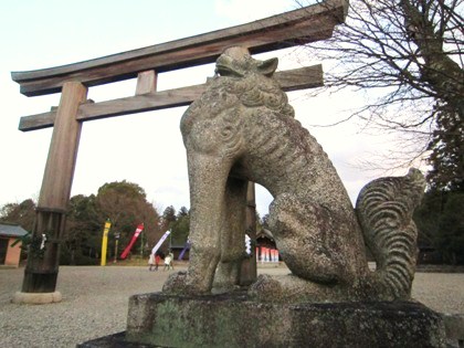 吉野神宮の狛犬