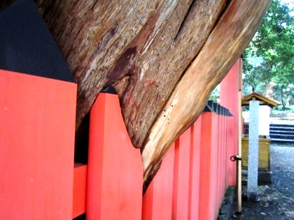 水谷神社の宿生木