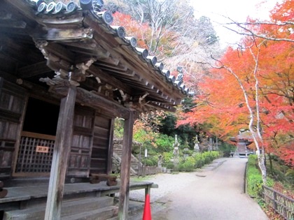 本長谷寺の紅葉