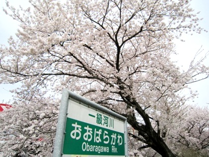 一級河川の粟原川