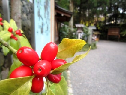 大神神社の境内