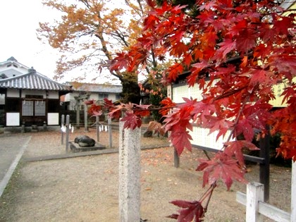 素盞鳴神社の紅葉