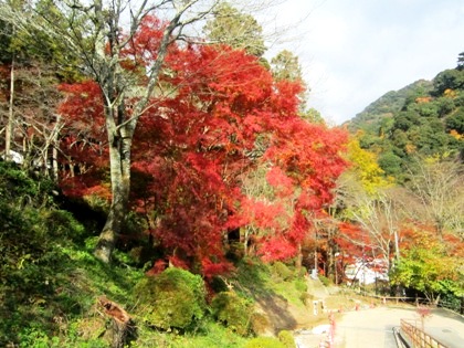 長谷寺の紅葉