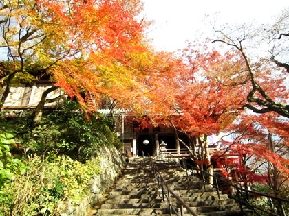 長谷寺の紅葉