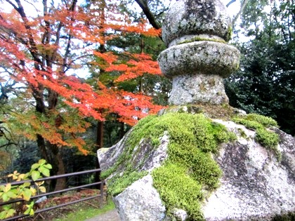 長谷寺の紅葉