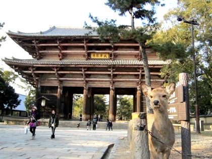 東大寺南大門と鹿