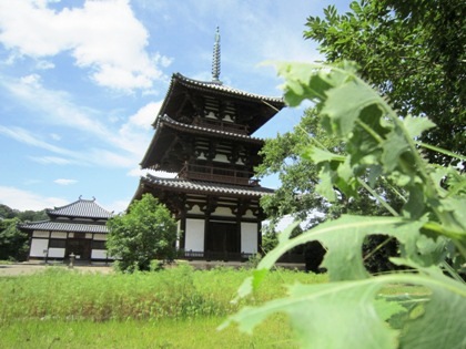 法起寺三重塔と法起寺講堂