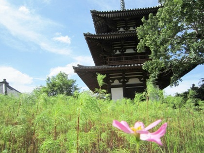 法起寺三重塔とコスモス