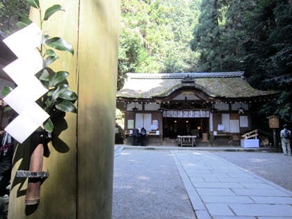 狭井神社の榊