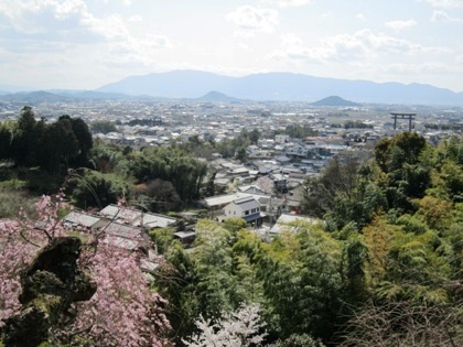 大美和の杜展望台