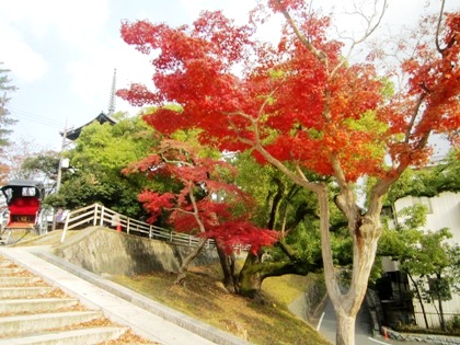 興福寺の紅葉　五十二段　興福寺五重塔