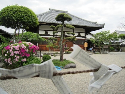 飛鳥寺のつつじ