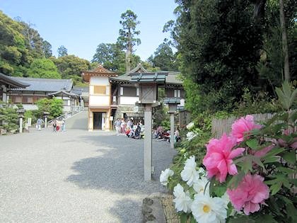 大神神社の牡丹