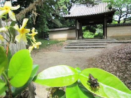 長岳寺の肘切門