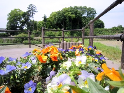 中山廃寺跡