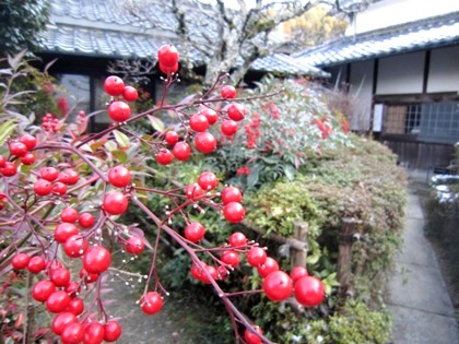 聖林寺の南天