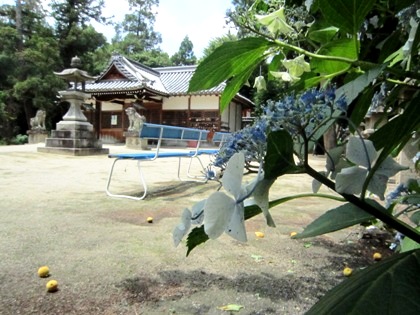 糸井神社のベンチ