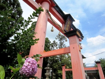 糸井神社の紫陽花