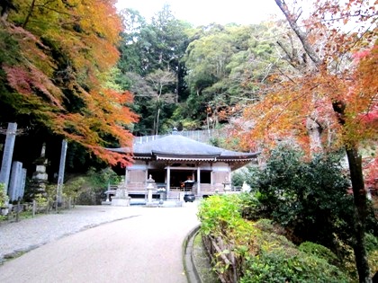 長谷寺の紅葉