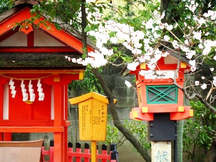 率川神社の梅