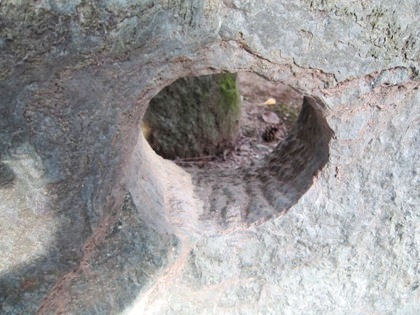 青石橋の穴
