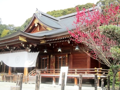 大神神社の紅梅