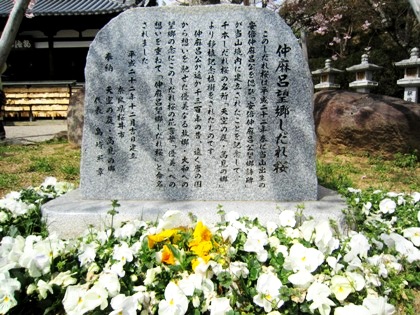 仲麻呂望郷しだれ桜