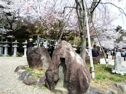 仲麻呂望郷しだれ桜