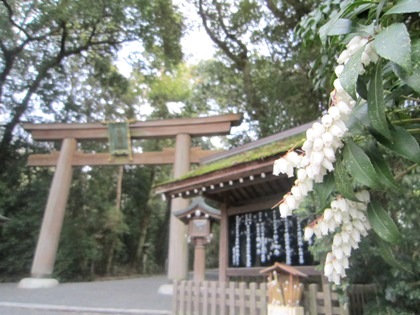 大神神社　あしび　馬酔木