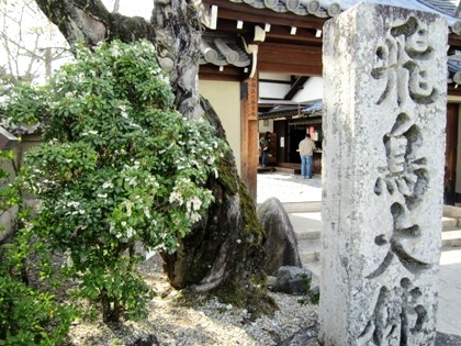 飛鳥大仏の石碑と馬酔木