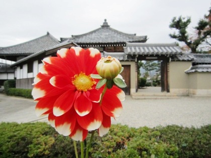 飛鳥寺