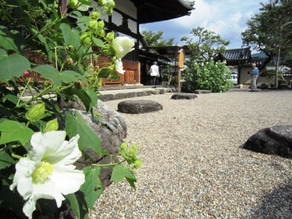 飛鳥寺の芙蓉