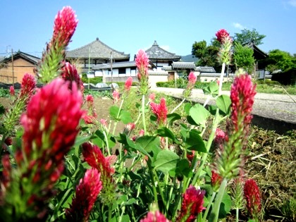 飛鳥寺