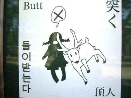 butt-deer　鹿注意