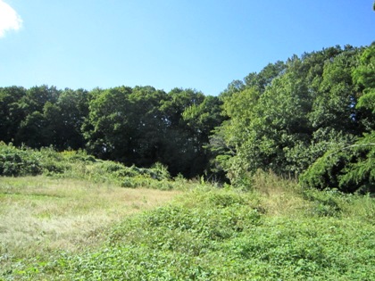 桜井茶臼山古墳