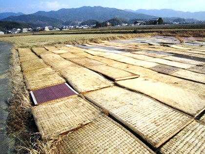 大官大寺跡　畳